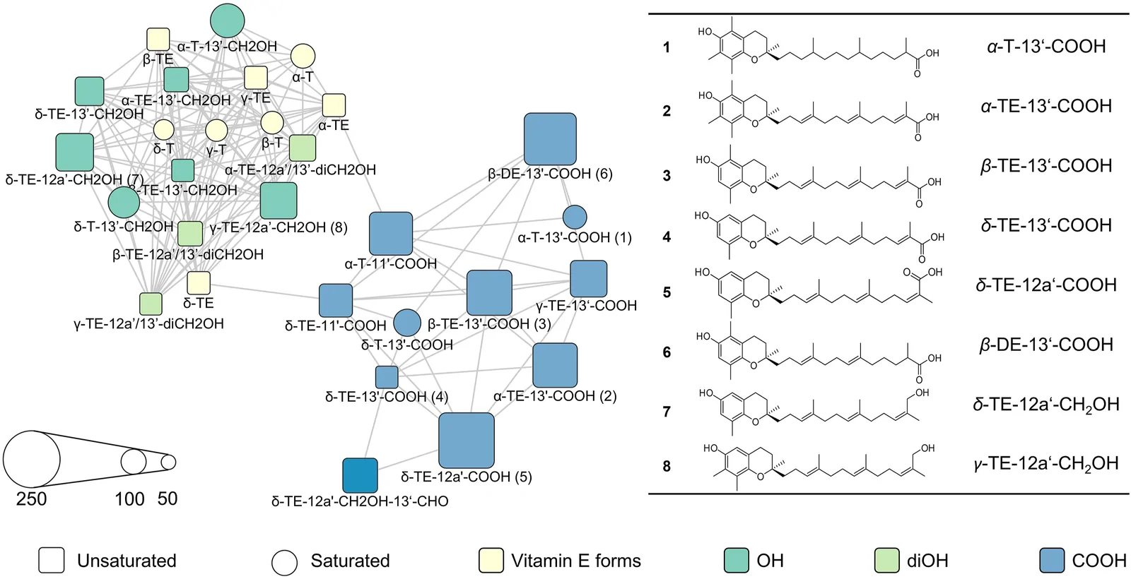 Similarity network of long-chain vitamin E metabolites (LCMs) displaying 15-hydroxyeicosatetraenoic acid (15-HETE) formation in polymorphonuclear leukocytes (PMNL). Structural similarity between LCMs is calculated using Tanimoto similarity score and visualized as network. Nodes representing each compound are connected with edges (Tanimoto coefficients >0.92) in a yFiles organic network. Saturation of side chain is visualized with shape of nodes, color represents distinctive functional groups and natural vitamin E forms and size displays the relative amount of 15-HETE formation (% of control, DMSO) in PMNL. Data on vitamin E forms and metabolites has partially been extracted from previous studies60,75, as detailed in Supporting Information Table S1.