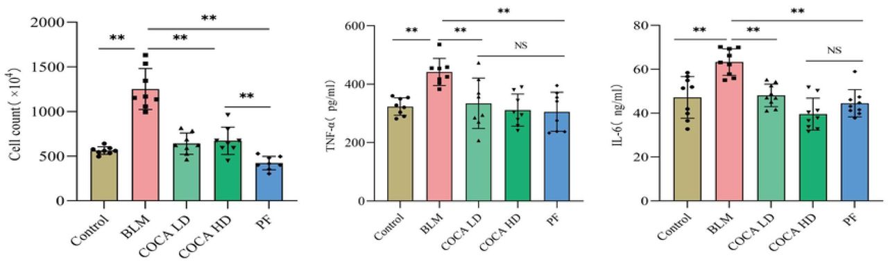 Cell count map of mouse BALF (left) and Expression of TNF-α (middle) 、IL-6 (right) in lung tissues (NSP>0.05, **P <0.01)