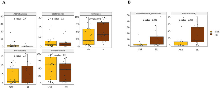 Taxonomic compositions at the major phylum and genus levels. (A) Phylum level. (B) Genus level.