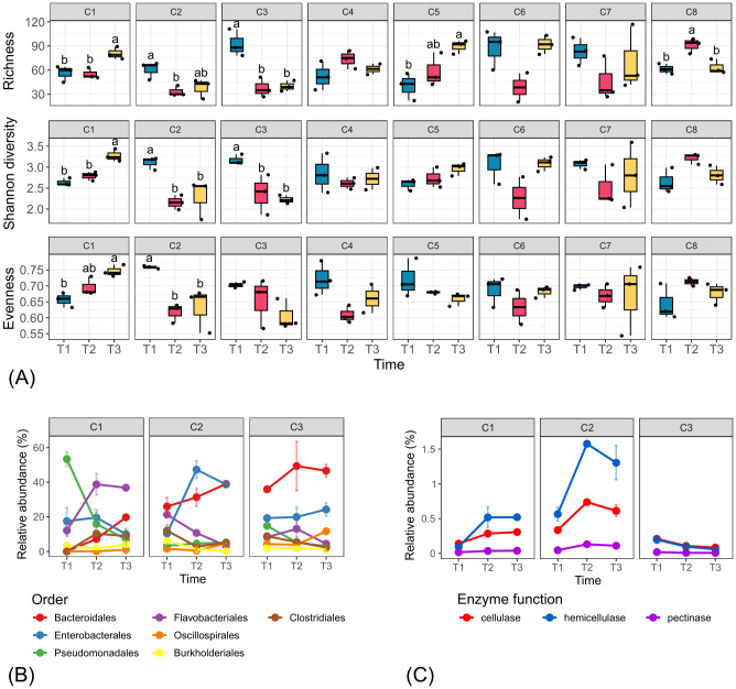 Panel A presents boxplots of richness, Shannon diversity, and evenness for eight groups (C1 to C8) across three timepoints (T1 to T3). Panel B shows line graphs of bacterial order relative abundances over time for C1 to C3, with lines colored by order. Panel C depicts line graphs of enzyme function relative abundances (cellulase, hemicellulase, pectinase) in C1 to C3 across the same timepoints, with each enzyme represented by a separate color.