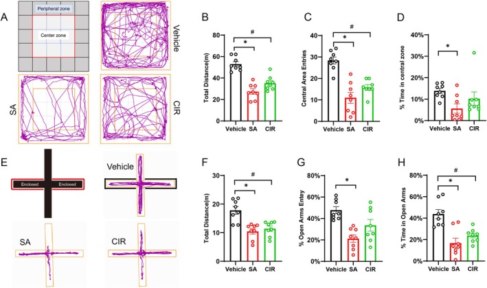 Results of behavioural tests performed on subjects treated with vehicle (n = 8) or 4F‐ABUTINACA (SA group, n = 8; CIR group, n = 8). (A) Representative locomotor trajectory plot from the open‐field test (OFT). (B) Total distance travelled in the OFT. (C) Number of entries into the central zone. (D) Percentage of time spent in the central area relative to the total test duration. (E) Representative locomotor trajectory plot from the elevated plus maze (EPM). (F) Total distance travelled in the EPM. (G) Percentage of entries into the open arms relative to the total number of entries. (H) Percentage of time spent in the open arms relative to the total test duration. Data are expressed as mean ± SEM. *p < 0.05, SA vs. vehicle; # p < 0.05, CIR vs. vehicle.
