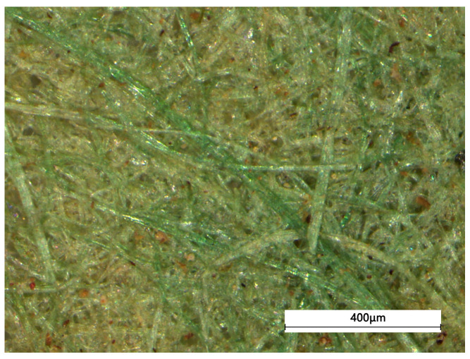 The microscopical pictures of the yellow-greenish fiber.
