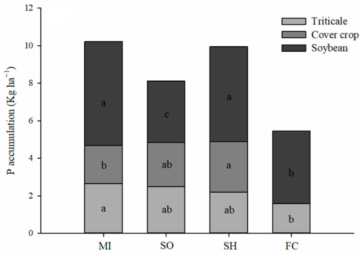 P accumulation in root dry matter in crop rotation systems during the 2016/2017 cycles. MI: millet; SO: sorghum; SH: sunn hemp; FC: fallow/chisel. Different lower-case letters for crop succession systems differ by the LSD test (p < 0.05).