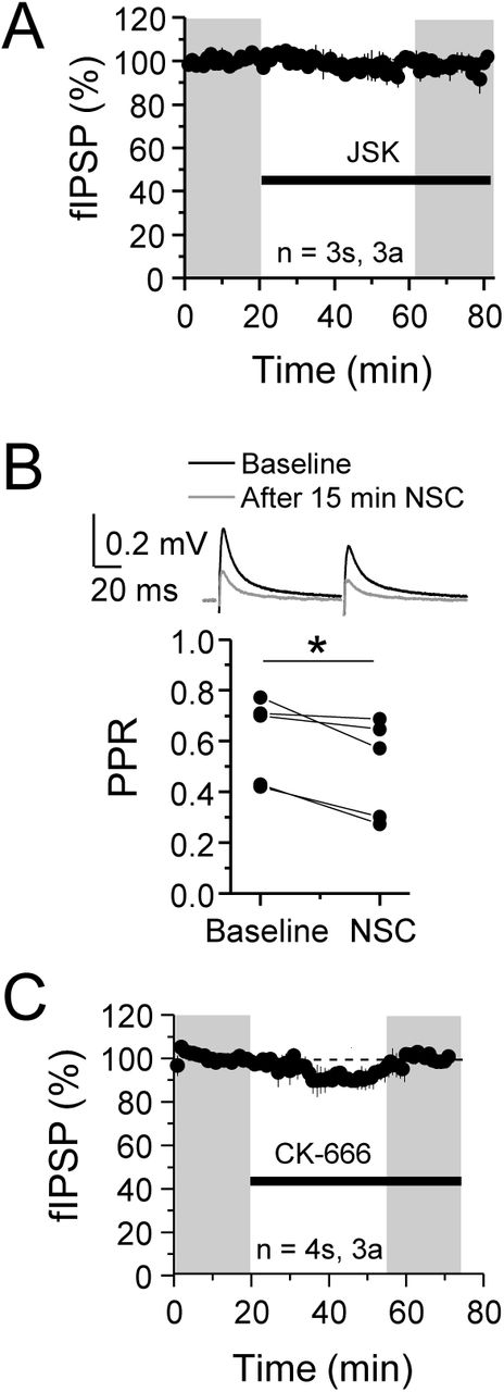 A. JSK (250 nM) had no effect on baseline. JSK: 97.76 ± 2.8, one sample t-test, p > 0.05. For all electrophysiology figures, averaged summary data expressed as normalized change from baseline ± S.E.M. and n = number of slices (s), number of animals (a).B. NSC application on baseline caused decreased PPR (measured at 35-45 min) suggesting a presynaptic target. Pre: 0.65 ± 0.06 v. NSC: 0.57 ± 0.08, paired-sample t-test, p < 0.05, n = 5 slices (same as Figure 4B).C. CK-666 (100 µM) had no effect on baseline. CK-666: 95.44 ± 5.0, one sample t-test, p > 0.05.