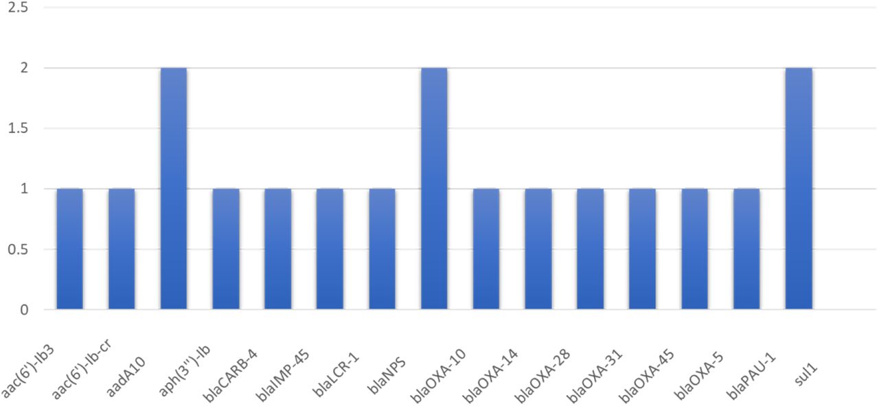 ResFinder 4.1 revealed the prevalence of 16 AMR genes found in 18 Pseudomonas aeruginosa plasmids.