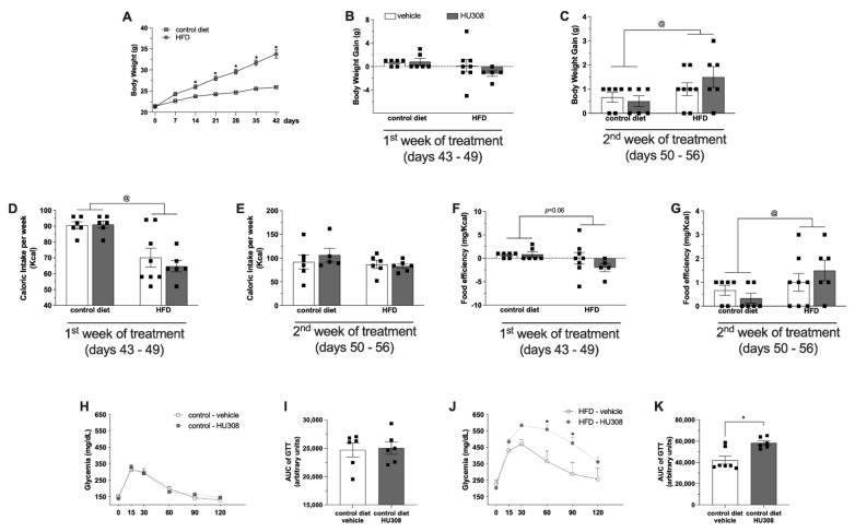 Effect of prolonged icv infusion of vehicle or HU308 for 2 weeks on the body weight, caloric intake, food efficiency ratio and GTT in animals fed a control diet or high-fat diet (HFD). Body weight curve in control diet-fed or HFD-fed animals before surgical procedure (A). The body weight gain (g) (B,C), caloric intake (Kcal) (D,E) and food efficiency (mg/Kcal) (F,G) after 1 or 2 weeks of icv vehicle or HU308 infusion in control diet-fed or HFD-fed animals. Plasma glucose levels (mg/dL) after glucose overload in control diet-fed (H) or HFD-fed (J) animals during prolonged infusion of vehicle or AM630. AUG of GTT in control diet-fed (I) or HFD-fed (K) animals treated with vehicle or AM630. One sample from HFD + vehicle group in the GTT study were not used because of problems with glucose overload injection. The data are expressed as the mean ± SEM; n = 5–8 per group. Data were analyzed by unpaired t test (I,K) or two-way ANOVA followed by Tukey’s (B–G) or Šídák’s (H,J) post-hoc test. @ p < 0.02 (effect of diet), * p = 0.05 (effect of HU308).