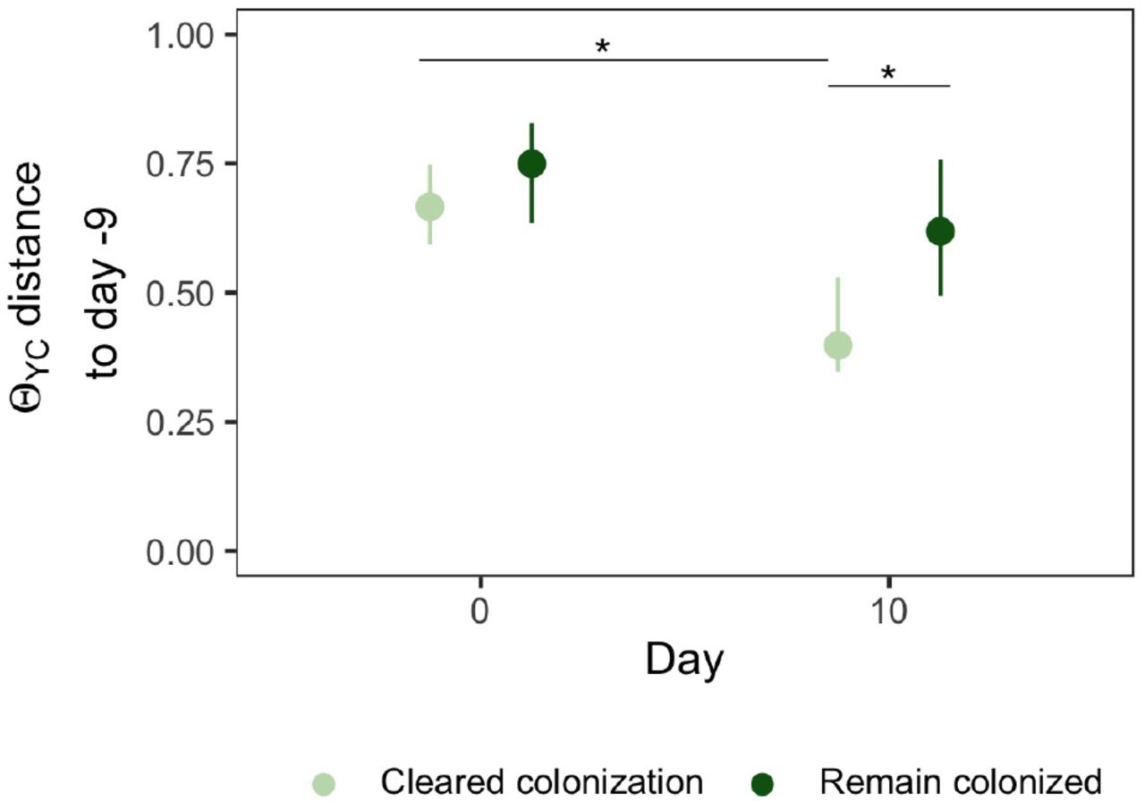 Gut bacterial community of streptomycin-treated mice that cleared colonization were more similar to their initial community.Diversity differences by outcome in streptomycin-treated mice. β-diversity, measured by θYC, distance between community structures on day 0 or 10 compared to the community prior to antibiotic treatment (day −9) community of that individual. Data are grouped by the outcome, cleared colonization (faint green) or remain colonized (dark green). Points are median values and lines represent the interquartile range. * indicates significant difference by Wilcoxon rank sum test with Bonferroni correction.