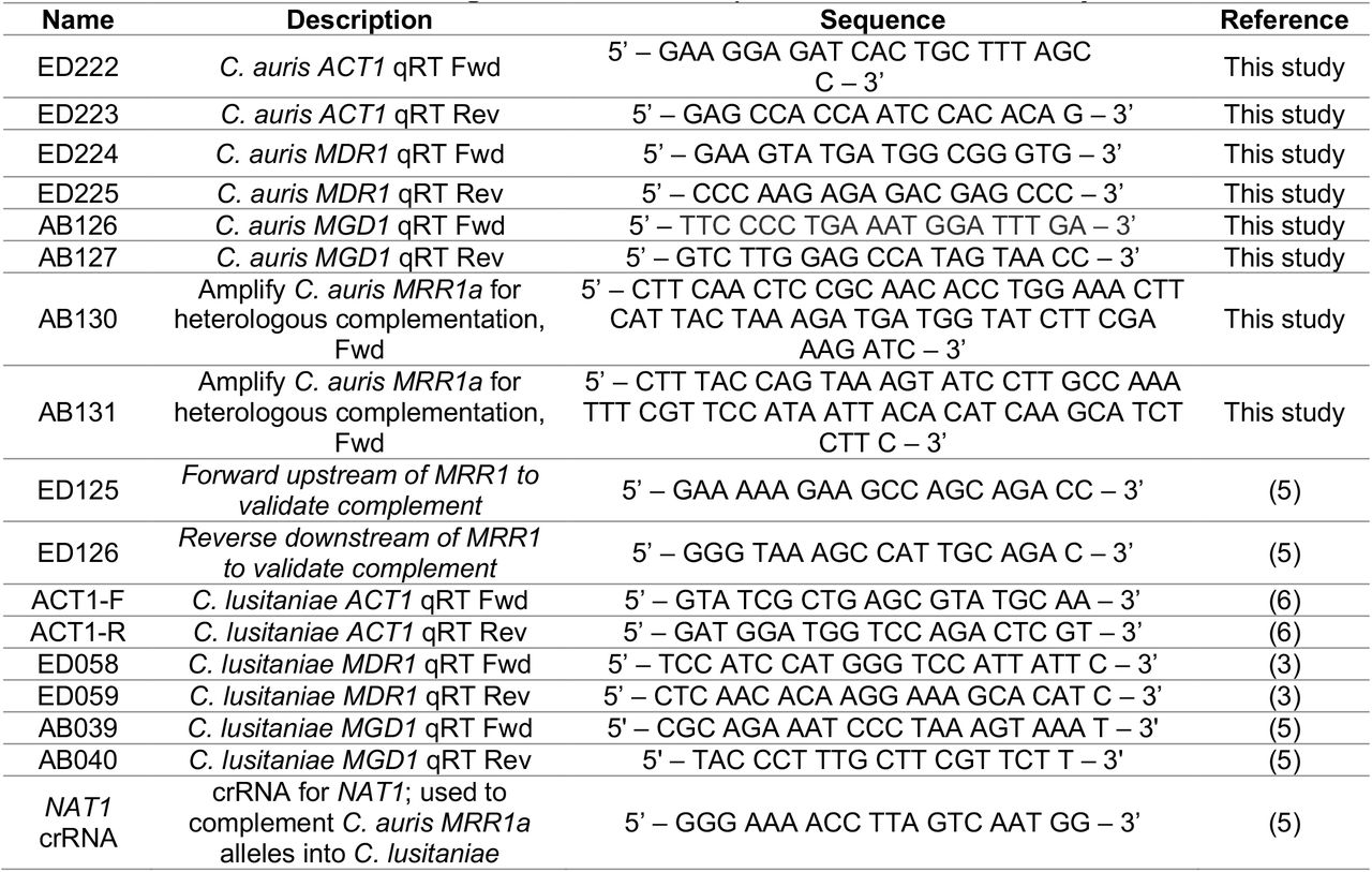 Oligonucleotides and primers used in this study