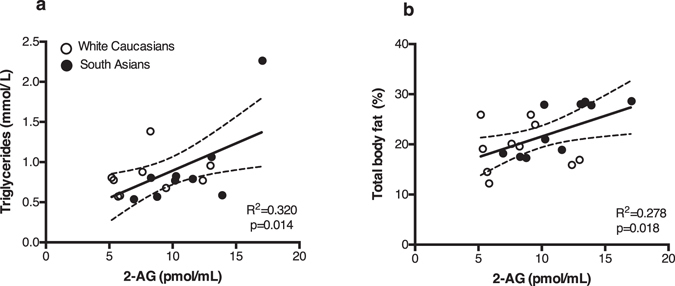 Thermoneutral plasma 2-AG levels positively correlate with serum triglyceride levels and total body fat percentage. Scatterplot of the correlations between 2-AG levels and serum TG (a) or total body fat percentage (b). Correlations are shown for the total group combined (n = 20), white circles are white Caucasian individuals (n = 10) and black circles are South Asian individuals (n = 10), with 95% confidence limits. Correlations were analysed using linear regression analysis.