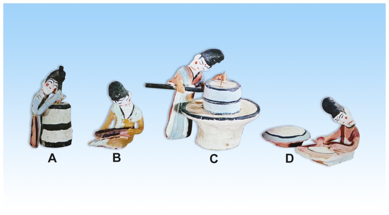 Painted figurines of working women excavated from the Astana Cemteries.They are 9.7–16 cm in height, with vivid expressions and gestures. All of them are deposited in the Xinjiang Uyghur Autonomious Region Museum. (A) dehusking rice with mortar and pestle. (B) winnowing cereal crop. (C) milling flour. (D) baking pan cake (provided by Prof. Yongbing Zhang).