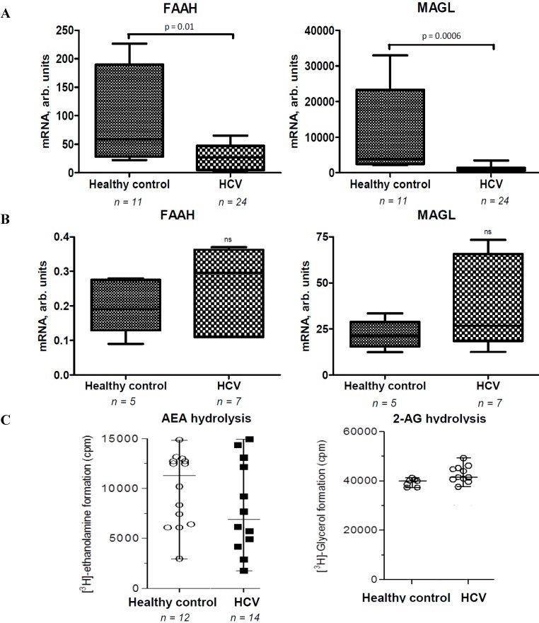 Fatty acid amide hydrolase (FAAH) and monoaclyglycerol lipase (MAGL) mRNA and activity in CHC patients and healthy controls. (A) FAAH mRNA and MAGL mRNA in liver biopsies from CHC patients and control livers; (B) FAAH mRNA and MAGL mRNA in PBMC from CHC patients and healthy controls; (C) FAAH and MAGL enzymatic activity in liver biopsies from CHC patients and control livers. ns—not significant.