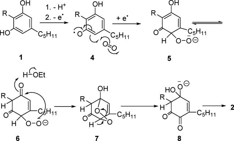 Possible mechanism of the base-mediated aerobic formation of cannabidiolquinone (CBDQ (2)) from cannabidiol (CBD (1)) in ethanolic KOH. (R = 3-p-mentha-1,8-dienyl).