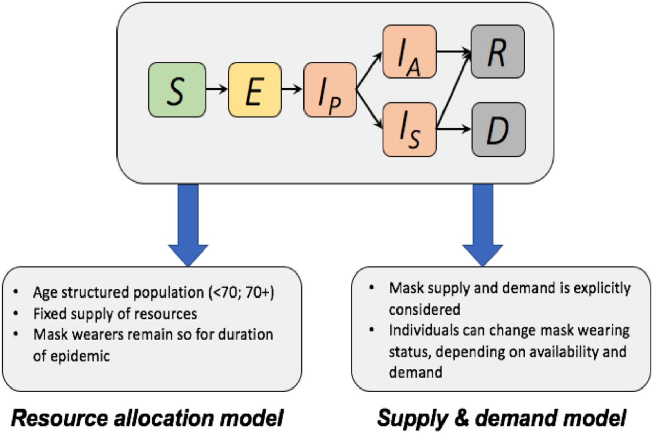 The compartmental structure common to both models used in this study is shown at the top. Susceptible hosts (S) become exposed (E) and progress to pre-symptomatic infectious (IP). Infected hosts can become either asymptomatic or mildly symptomatic (IA), or symptomatic (IS). Recovery (R) or death (D) follow. The resource allocation model and the supply & demand model then have unique additional features and dynamics. For a full description of each model and the specification of dynamics between compartments, see the Supplementary materials.