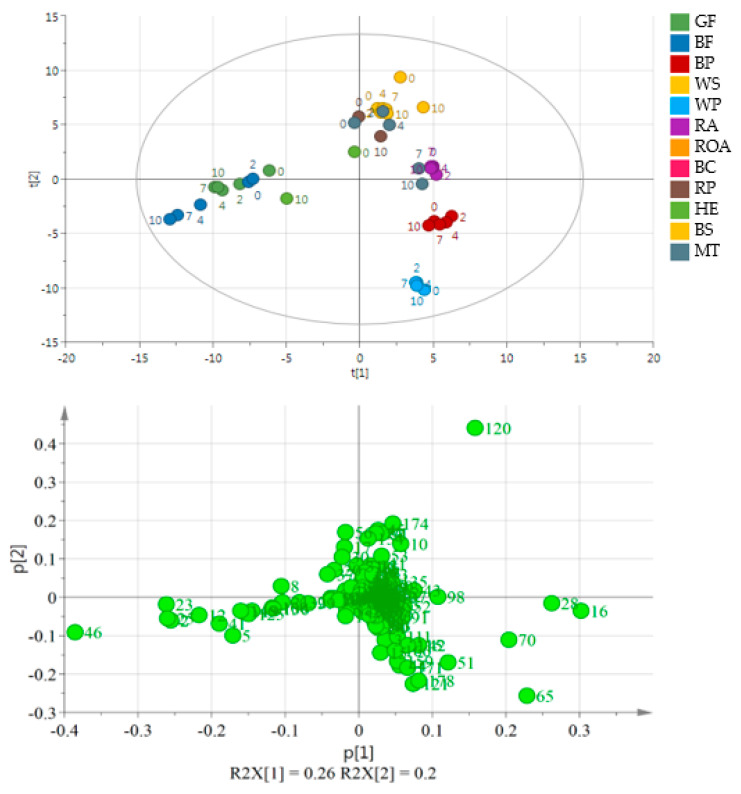 PCA and the loading plot of analyzed oils (except for BC and ROA) stored at 60 °C for 0, 2, 4, 7 and 10 days. On the loading plot compounds responsible for differentiation are placed far from the plot center. 2—propanal, 12—2-ethyl furan, 16—pentanal, 23—1-propanol, 25—2-butenal, 28—hexanal, 46—1-penten-3-ol, 65—2-pentyl furan, 70—1-pentanol, 120—acetic acid. Sample coding as in Table S3.