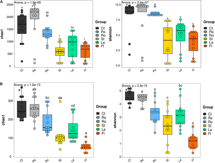 Alpha diversity of microbial communities associated with hemp plants. (A) Bacteria. (B) Fungi. Ct, Rs, Ro, St, Le, and Fl represent bulk soil, rhizosphere soil, root endosphere, stem endosphere, leaf endosphere, and flower endosphere, respectively.