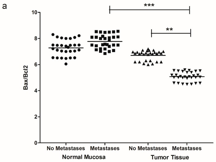(a) Bax/Bcl2 ratio protein values detected in intestinal tissue of no metastases (n = 29 patients) and with metastases patients (n = 30 patients), in both normal mucosa and tumor tissue. ** p < 0.02, *** p < 0.001 indicate significant differences (one-way analysis of variance and Tukey’s multiple comparison test). (b) Representative Western blot bands of Bax, Bcl2 and β-actin proteins.