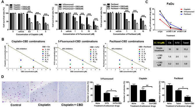 Cannabidiol (CBD) exhibited synergistic efficacy with anti-cancer drugs. (A) FaDu cells were treated with various concentrations of Cisplatin, 5-Fluorouracil, and Paclitaxel for 24 h and then cell viability was determined by CCK8 assay to determine EC50 value of each drug. After four hours of pretreatment with Cisplatin, 5-Fluorouracil, or Paclitaxel with FaDu cells were exposed to 3 or 6 µM of CBD in each drug group. The Cell survival rate was determined using CCK8 assay at 24 h. (B) Isobologram method was used to analyze the additivity and/or synergy of in vitro drug combination treatment in FaDu cells. The diagonal line delineated 95% growth inhibition. Combination Index (CI) values determined using the 50% of inhibitory concentration (IC50) values from each drug combination, which were pointed by colored rounds or triangles. Antagonism (CI > 1) and synergy (CI < 1) were indicated above and below the line, respectively. (C) Single treatment of Cisplatin, 5-Fluorouracil, or Paclitaxel were compared with combination treatment with 3 or 6 µM of CBD and represented EC50 value as the graph and table. (D) FaDu cells were exposed to EC50 value of Cisplatin (10 µM), 5-Fluorouracil (18 µM), and Paclitaxel (15 µM) alone or combination with 6 µM of CBD and then cultured for 2 weeks. The cells were stained with crystal violet and visualized by a light microscopy. Scale bars, 200 μm. Error bars indicated mean and SD; *p < 0.05; **p < 0.01; and ***p < 0.001 compared with control.