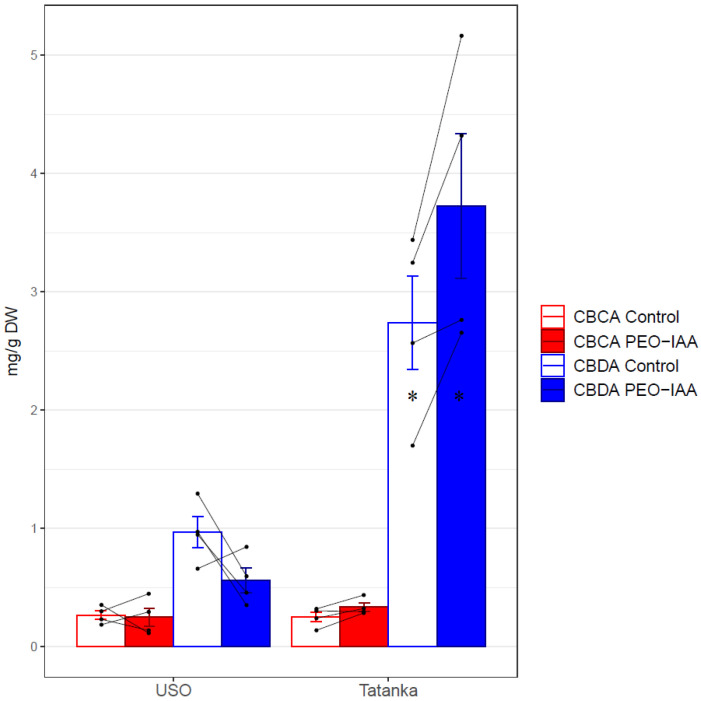 Bar plots show mean values and standard errors of the given concentration for both cultivars ‘USO-31’ and ‘Tatanka Pure CBD’. The points represent the concrete values. The matching samples are connected by lines. Significant differences in the concentrations of CBDA are represented by asterisks (p ≤ 0.05 “*”).