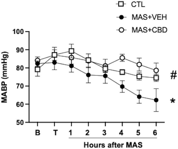 Change over time on mean arterial blood pressure (MABP) in ventilated control (CTL, n = 6) animals and piglets submitted to meconium aspiration (MAS) and then treated with i.v. vehicle (VEH, n = 10) or CBD (n = 6). B, basal (pre-MAS); T, treatment administered (30 min after MAS). Data presented as mean ± SEM. Two-way ANOVA with Holm-Šidák’s post-hoc test for multiple comparisons. (*) p < 0.05 vs. CTH, (#) p < 005 vs. MAS + VEH.