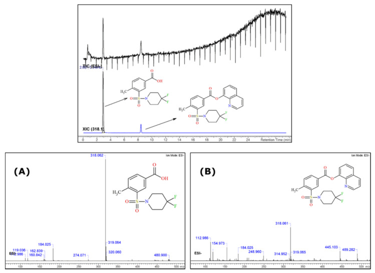 UHPLC-ESI (-) qTOF-MS TIC and ESI(-) MS spectra of the identified precursor 2F-MPSBA (A) and of the identified cannabinoid 2F-QMPSB (B).