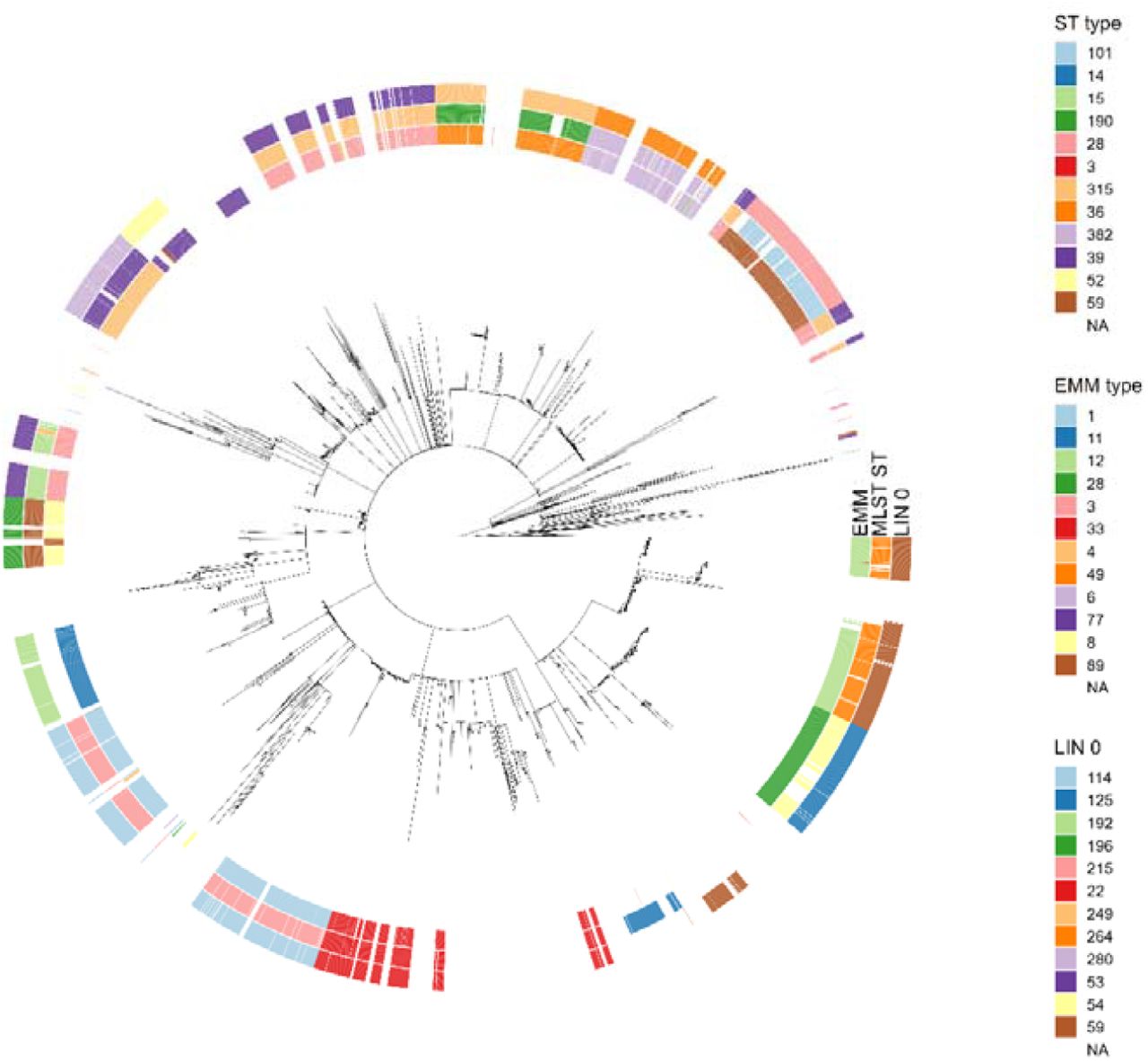 Phylogenetic tree of all test isolates submitted to PubMLST for development and testing of this scheme, showing cgMLST derived phylogenetic structure as created by GrapeTree using the MSTreeV2 option and visualised in ggTree. Top 12 categories for EMM type, ST and LIN threshold 0 are highlighted, with all others left blank. Visually confirms the high concordance as shown in Table 3. between EMM type, ST and LIN threshold 0.