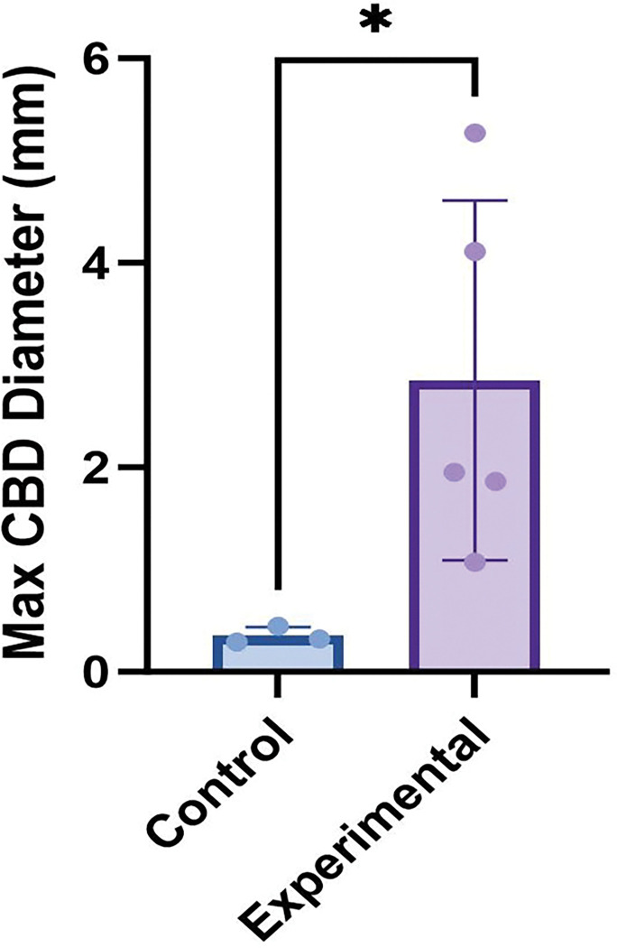 Maximum bile duct diameter of experimental and control mice at 10 weeks of age measured by coronal MRI (p-value = 0.036)