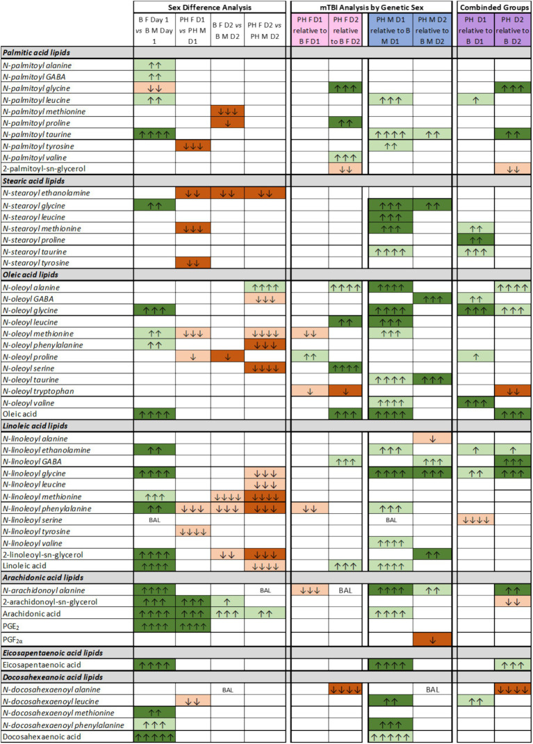 Colored table displaying changes in various lipid species across experimental conditions related to sex difference analysis, mild traumatic brain injury (mTBI) analysis by genetic sex, and combined group comparisons. Green and orange arrows indicate direction and magnitude of metabolic changes across multiple days and group comparisons, with separate sections for palmitic, stearic, oleic, linoleic, arachidonic, eicosapentaenoic, and docosahexaenoic acid lipids. Each cell provides symbol-based summary results for specific lipid metabolites.