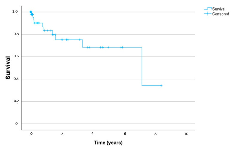 Survival of all study patients (Kaplan–Meier).