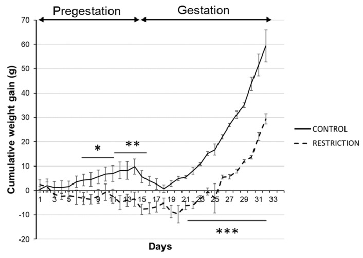 Maternal weight gain during pregestation and gestation periods. Cumulative weight gain (g) of control (continuous line) and restricted dams (dashed line) during pregestation and gestation. Values are expressed as means ± SEM. * p < 0.05, ** p < 0.01, *** p < 0.001.