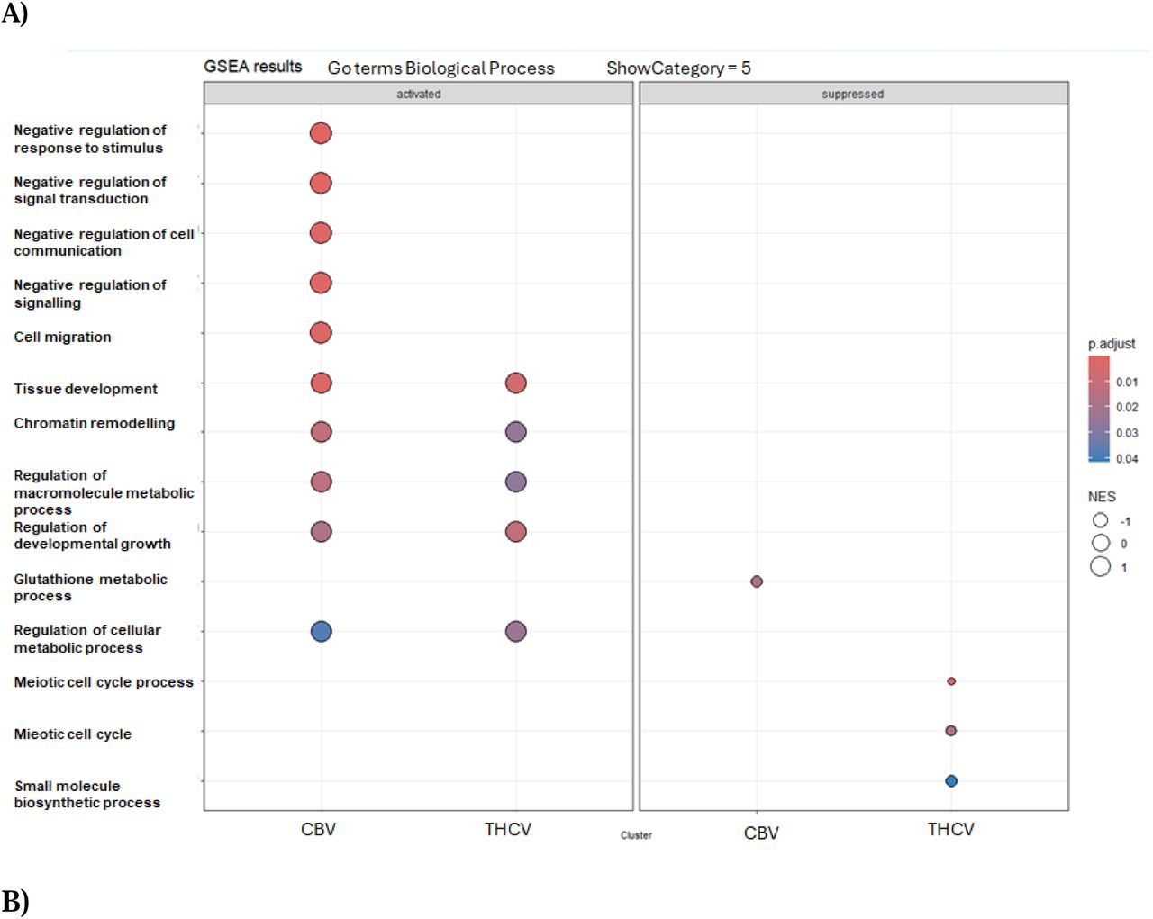 (A). GSEA dot plot of enriched GO Biological Processes in CBV- and THCV-treated animals. Biological processes significantly enriched following CBV and THCV exposure are shown, separated into activated (left panel) and suppressed (right panel) categories. Dot color indicates adjusted p-value, while size represents normalized enrichment score (NES). CBV treatment broadly activated pathways associated with negative regulation of stimulus response, signal transduction, cell communication, tissue development, and chromatin remodeling, consistent with sustained proteomic and behavioral effects. THCV induced a narrower range of activated processes, with modest enrichment in metabolic and developmental pathways. Suppression was more prominent in THCV-treated samples, particularly affecting meiotic and biosynthetic processes. These distinct pathway profiles suggest compound-specific mechanisms of antinociceptive action. (B). Tree plot of enriched Gene Ontology biological processes (GO-BP) in CBV- and THCV-treated C. elegans. The plot displays semantically grouped GO terms based on their similarity, revealing distinct biological process enrichments for CBV and THCV. CBV triggered broader activation of categories related to signaling regulation, cell communication, and tissue development, while THCV showed more limited and selective enrichment. Color scale represents adjusted p-values