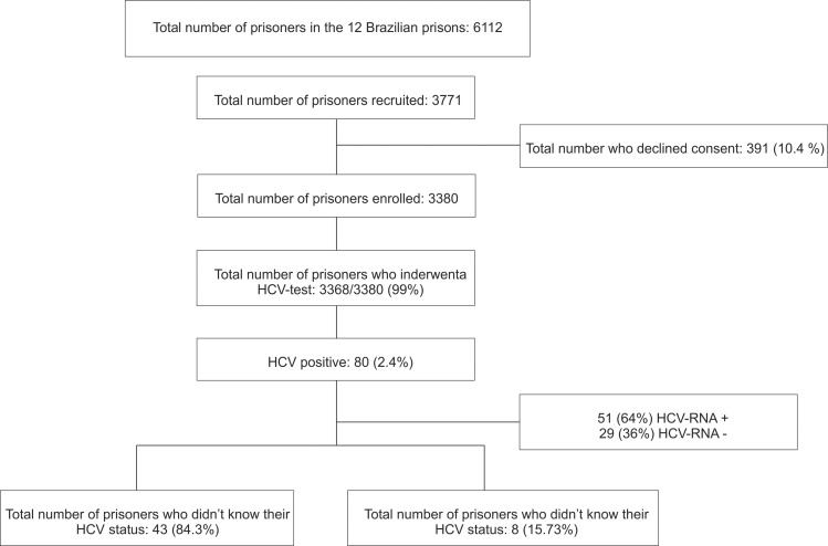 Flow chart of the recruitment of the study and screening process for HCV.