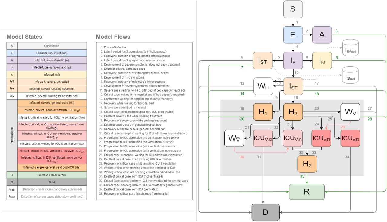 The National COVID-19 Epi Model structure (updated)7