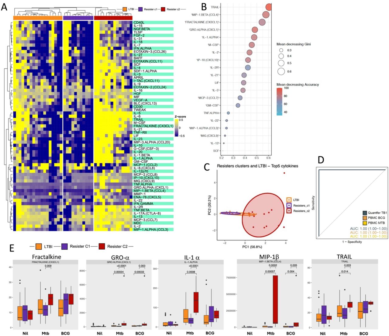 Identification of protein signature discriminating two distinct clusters in Resisters. A. Heatmap depicting overall cytokines abundance profile. Clusters were defined by hierarchical clustering using the Manhattan distance and Ward.D2 clustering methods. B. Feature selection analysis identified markers with higher importance and holding most of information regarding the Resister clusters. Dot plots from the biomarker importance in the random forest model. Colors and dot size shows the Mean Decreasing Gene and Accuracy indexes from each variable. C. PCA analyses discriminating the Resister clusters and LTBI. D. Receiver Operator Characteristics (ROC) analysis using the variables identified from dimensionality reduction concentrations to estimate the accuracy of the combined markers to discriminate Resister clusters with different stimuli. E. Boxplot displaying the most informative cytokines abundance values. Y axis represents the abundance values, while the X axis represents the different conditions. Wilcoxon non-parametric test, without correction for multiple comparisons, was applied to compare subclusters in each condition. The significance remained after correction for multiple comparisons, adjusting for FDR (data not shown).