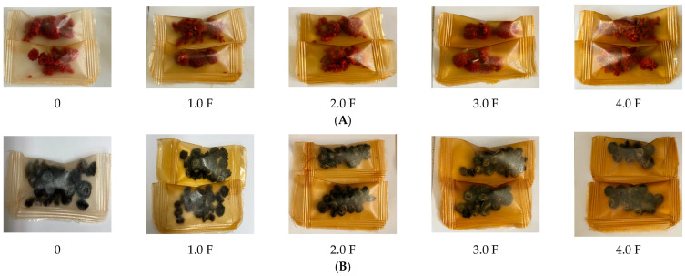 Images of raspberries (A) packaged in polysaccharide films: 0 F, 1.0 F, 2.0 F, 3.0 F, 4.0 F and blueberries (B) packaged in polysaccharide films: 0 F, 1.0 F, 2.0 F, 3.0 F, 4.0 F.