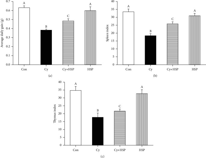 Effect of hemp seed polysaccharide on average daily gain (a), spleen index (b), and thymus index (c) in immunosuppressed mice. Each bar represents mean ± SEM (n = 10). Bars with different letters (A, B, and C) are statistically different (p < 0.05).