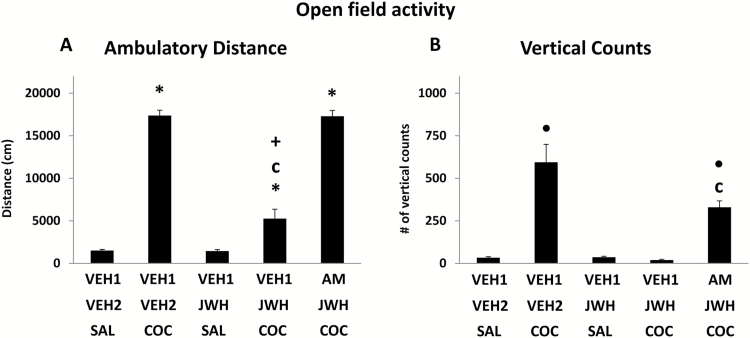 Effects of JWH-133 on cocaine-stimulated motor activity. (A) Horizontal motor activity. The bars represent mean + SEM of the ambulatory distance (cm). (B) Vertical motor activity. The bars represent mean + SEM of the number of vertical counts. COC, 20 mg/kg cocaine; JWH, 10 mg/kg JWH-133; AM, 5 mg/kg AM630. *Compared with vehicle (VEH1+VEH2+SAL) and with JWH (VEH1+JWH+SAL) treatments, C compared with cocaine (VEH1+VEH2+COC), + compared with AM+JWH+COC treatment, ● compared with vehicle (VEH1+VEH2+SAL), JWH (VEH1+JWH+SAL), and VEH1+JWH+COC treatments.