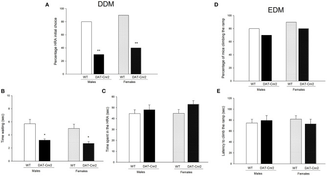 Performance in DDM and EDM. (A) shows the percentage of mice who chose the HRA as its first choice, exhibited in adolescent male and female mice **P < 0.01, Fisher F test for (A). The time spent near by the barrier (i.e. waiting time) is shown in (B) and in (C), the time spent in the HRA by the animals is shown. The white with dots represent the WT mice and the black and the black with dots represent DAT-Cnr2 mice. The clear bars are the males, and the bars with dots represent the females. Data are expressed as mean ± SEM (n = 10 mice per group). Two-way ANOVA followed by Tukey *p < 0.05 for genotypes. (D) shows the percentage of animals climbing to reach the HR in the EDM, and (E) exhibits the latency to climb the ramp to reach the HR.