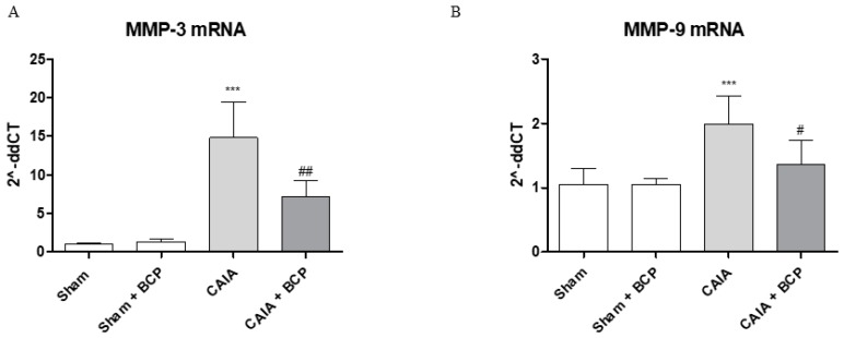 The graphs represent qPCR results of MMP3 (A) and MMP-9 (B) mRNA expression from joints. Data are expressed as means ± SD. *** p < 0.0001 vs. Sham and Sham + BCP; ## p < 0.001 and # p < 0.05 vs. CAIA.