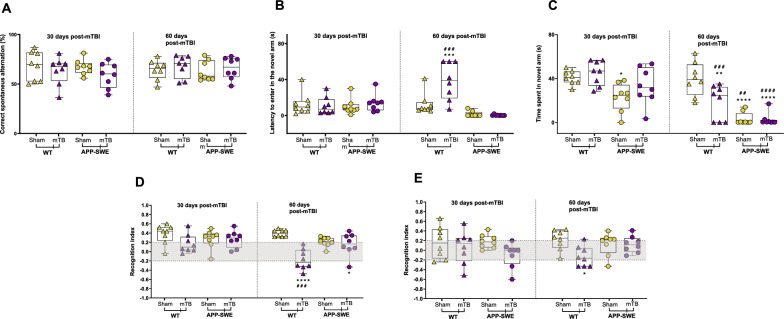 Effects of mTBI on cognitive performance in WT or APP-SWE mice. A shows the percentage of the alternation in the Y-maze test. B, C show the latency to enter the novel arm (s) and time spent in the novel arm (s) in the forced protocol of Y-maze. D, E shows NOR index in the novel object recognition test at 1.5-h and 24-h delay, respectively. Two-way ANOVA or Two-way ANOVA for repeated measures were performed for the resident intruder test and OFT 30–60 days post-mTBI, respectively. Dunnett’s or Sidak’s post hoc tests were applied for multiple comparisons inter- or intra- group, respectively (* indicates significant differences compared to WT sham; # indicates significant differences compared to the same group at 30 days post mTBI)