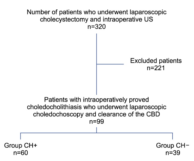 Study population (US, ultrasonoscopy; CBD, common bile duct; CH, acute cholangitis).