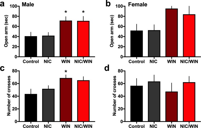 Altered anxiety-related behavior in male, but not female, adult mice following adolescent cannabinoid agonist exposure at a moderate dose.(a) Male mice (n = 7-8/group) exhibited differential responding in the elevated plus maze dependent on adolescent drug exposure. Specifically, mice treated with the cannabinoid agonist WIN or co-treated with WIN and nicotine exhibited increased time on the open arm, indicating a decrease in anxiety-related behavior. *p<0.05 (b) Female mice (n = 5-7/group) did not exhibit any statistically significant differences in the elevated plus maze open arm time. (c) For the male mice, the WIN group also displayed a significant increase in the number of crosses between arms compared to the control group, potentially indicative of increased exploratory behavior, an effect which was decreased with NIC/WIN co-exposure. *p<0.05 (d) The number of arm crosses did not differ significantly between the groups for the female mice. Data represent mean values ± SEM.