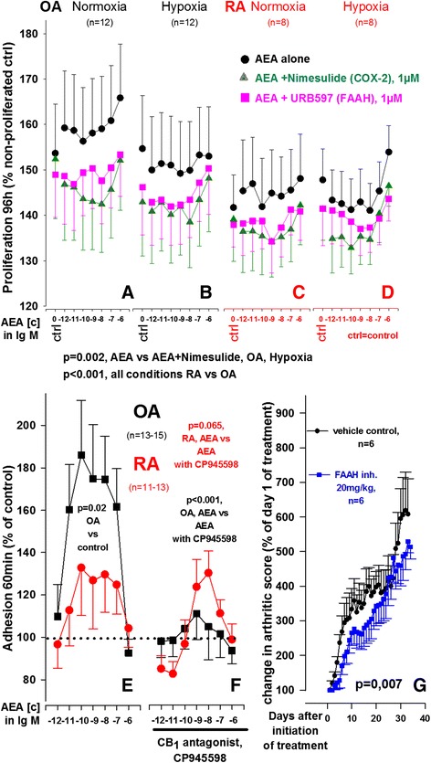 Influence of anandamide (AEA) on proliferation and adhesion of OASF and RASF and collagen-induced arthritis in mice. (a-d) Impact of AEA on OASF (a, b) and RASF (c, d) proliferation under normoxic (a, c) and hypoxic (b, d) conditions. e, f Adhesion of RASF and OASF to fibronectin after 24 h treatment with AEA (e) or with AEA + CP945598 (f) under normoxic conditions. g Impact of FAAH inhibition on collagen-induced arthritis in mice. The general linear model with Dunnett’s post hoc test was used for all comparisons. All data are given as mean ± SEM. Nimesulide = cyclooxygenase-2 inhibitor, URB597 = covalent, irreversible FAAH inhibitor, CB1 antagonist = CP945598 =, covalent, reversible FAAH inhibitor = JNJ1661010. All antagonists/inhibitors (a-f) were used at [c] = 1 μM. FAAH fatty acid amide hydrolase, OA osteoarthritis, RA rheumatoid arthritis, SF synovial fibroblast(s)