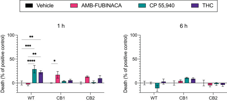 LDH release over time after incubation with cannabinoids. Vehicle, AMB-FUBINACA, CP 55,940, or THC was bath applied to AtT20 cells expressing empty vector (WT), human CB1 (CB1), or human CB2 (CB2). LDH presence in cell media at 1 and 6 h after incubation (as indicated above each graph) was measured, and normalized to total LDH (100%). n = 3; two-way ANOVA with Tukey's multiple comparisons test within cell types, at each time point; * = p > 0.05, ** = p > 0.01; *** = p > 0.001; **** = p > 0.0001. See Supplementary Table 3 for overall ANOVA results.