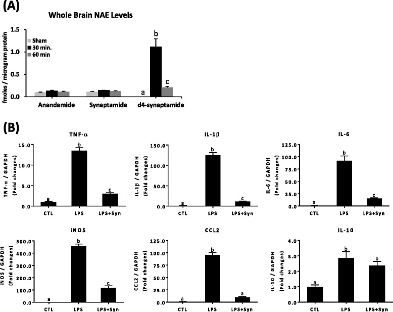 In vivo effect of synaptamide on proinflammatory responses in LPS-challenged mice. The time course of the exogenous synaptamide was determined by injecting 5 mg/kg (i.p.) d4-synaptamide into C57BL/6 mice (n = 3 for each time point), and brains were collected at indicated time points for LC/MS analysis (a). C57BL/6 mice (n = 3 for each group) were treated with synaptamide (5 mg/kg, i.p.) following LPS injection (1 mg/kg, i.p.), and brains were collected at 2 h to determine LPS-induced gene expression by qPCR (b). Values are presented as mean ± SEM from four mice. Means designated with the same letter are not significantly different