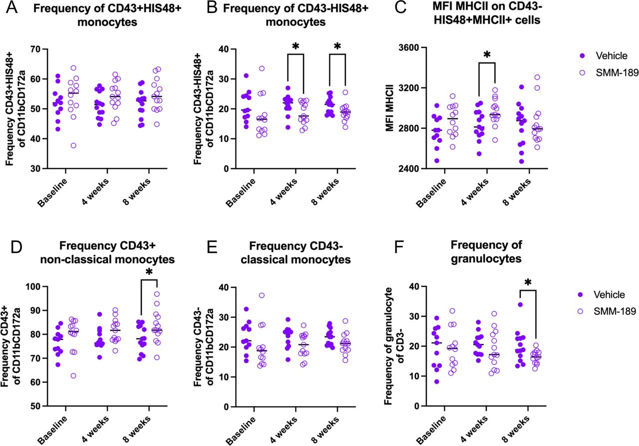 Modulation of CB2 with SMM-189 skews PBMC phenotype and increases frequency of circulating wound-healing non-classical monocytes.Peripheral blood mononuclear cells were isolated from whole blood at baseline, 4 and 8 weeks after AAV2/5-hAsyn injections from rats in the high cohort. SMM-189 treatment resulted in no change in frequency of His48+ non-classical monocytes (A), but decreased circulating His48+ classical monocytes (CD43+CD11b+CD172a+) at 4 and 8 weeks compared to vehicle treatment (B). Mean fluorescent intensity (MFI) of MHCII on His48+ classical monocytes was elevated on PBMCs from SMM-189-treated rats compared to vehicle at 4 weeks (C). Parent gate CD43+ non-classical monocytes demonstrated increased frequency of CD43+ non-classical monocytes (D), but no changes in parent gate CD43-classical monocytes (E). Frequency of granulocytes as defined by CD3- and granularity (SSC) were decreased at 8 weeks from SMM-189 treatment compared to vehicle (F). *p<0.05