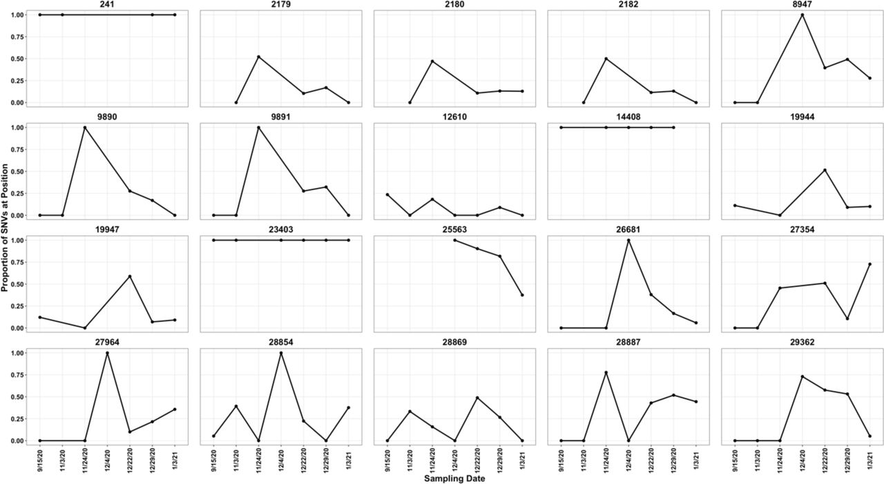 Line and dot plot of SNVs sequenced at least three times at the Hyperion WTP faceted by SARS-CoV-2 genomic position over time in samples with > 50% sequencing breadth. “Proportion of SNVs” refers to the proportion of SNVs versus the SARS-CoV-2 reference strain (i.e. 1 SNV and 3 reference reads = 0.25 proportion).