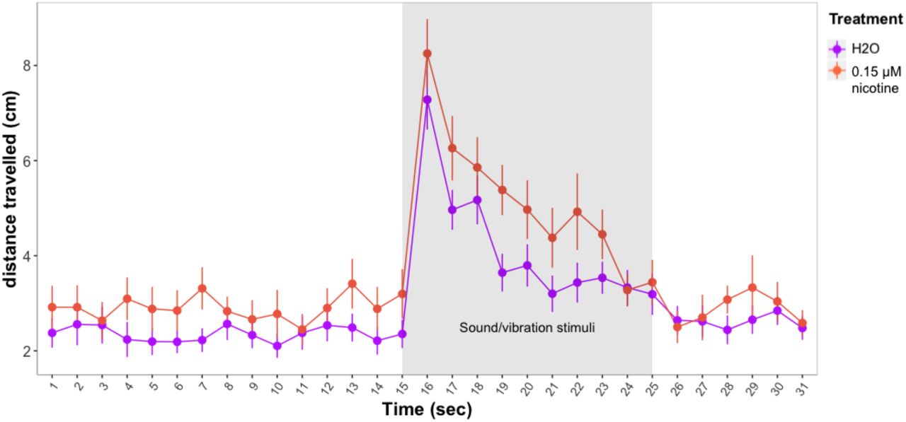 Distances travelled by control and nicotine treated larvae before and after exposure to 10 sound/vibration stimuli. Figure shows mean distances travelled in one second time bins. Error bars represent ±SEM. Control: n=23, treated with 0.15 μM nicotine: n=23.