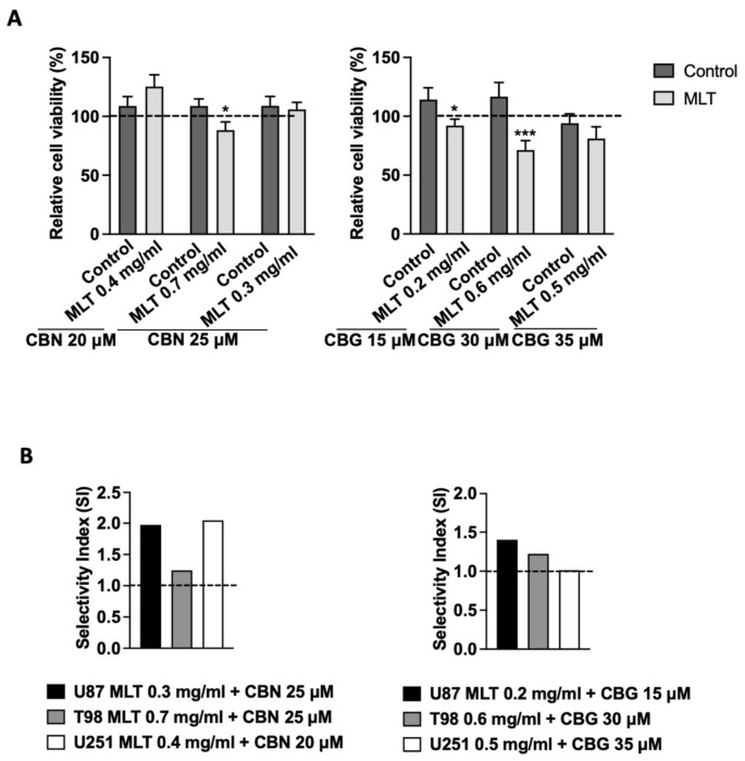 Relative cell viability of healthy AST-1 normal human astrocyte cells and Net Selectivity Indices (SIs) of cannabinoid–MLT combinations. (A) Viability of AST-1 cells treated with CBN or CBG in the absence (control) or presence of MLT. Data are expressed as relative cell viability (%) normalized to the respective MLT-alone at each concentration (set at 100%, dashed line). Data are presented as the mean ± SD. Statistical analysis was performed using two-way ANOVA followed by Šidák’s post hoc test (* p < 0.05, *** p < 0.001 vs. control). (B) Net Selectivity Index (SI) calculated for U87, T98, and U251 GBM lines relative to AST-1 cells; the dashed line at SI = 1.0 represents the threshold of non-selectivity (values > 1.0 indicate preferential cytotoxicity toward cancer cells).