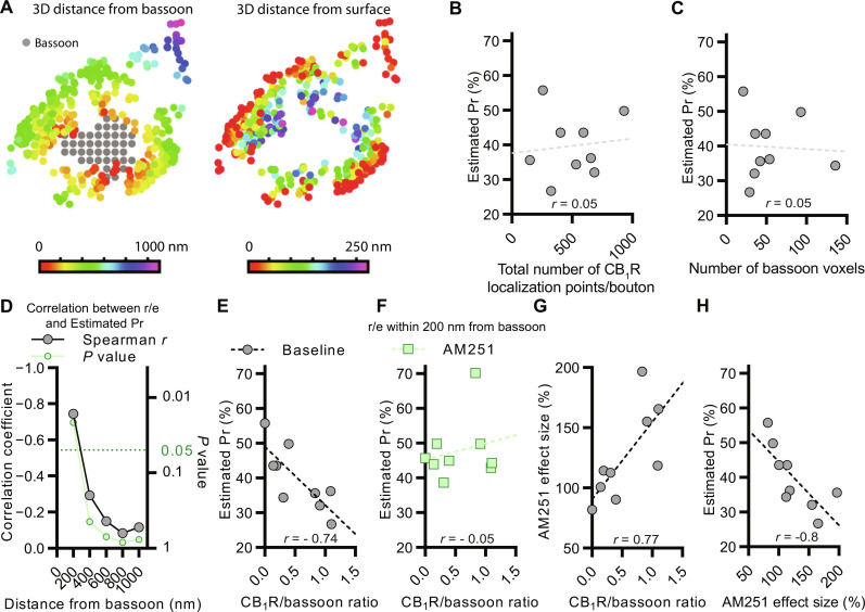 Nanoscale receptor/effector stoichiometry determines the synaptic cannabinoid tone.(A) 3D z-stack STORM data were used to calculate the nanoscale distance of each CB1R from the bassoon-positive voxels and from the surface of the axon terminal. (B) The total number of CB1Rs on the axon terminal does not predict the estimated Pr (n = 9 pairs, Pns = 0.90, r = 0.05). (C) The number of bassoon voxels does not covary with the estimated Pr (Pns = 0.90, r = 0.05). (D) Correlation coefficients of the CB1R/bassoon stoichiometry calculated at various distances from bassoon labeling. The receptor/effector stoichiometry scales with the estimated Pr in a nanoscale distance-dependent manner. (E) Correlation plot shows an inverse correlation between the estimated Pr and the nanoscale CB1R/bassoon ratio measured within 200-nm distance from the active zone (*P = 0.03, r = −0.74). (F) Application of AM251 impairs the inverse correlation between the estimated Pr and the nanoscale CB1R/bassoon ratio at the same recorded pairs as shown at baseline on (E) (Pns = 0.90, r = −0.05). (G) Correlation plot shows positive correlation with the nanoscale CB1R/bassoon ratio and the strength of the synaptic cannabinoid tone (*P = 0.02, r = 0.77). (H) Plot shows negative correlation between the strength of the synaptic cannabinoid tone and the estimated Pr (*P = 0.01, r = −0.8, Spearman rank-order correlation).