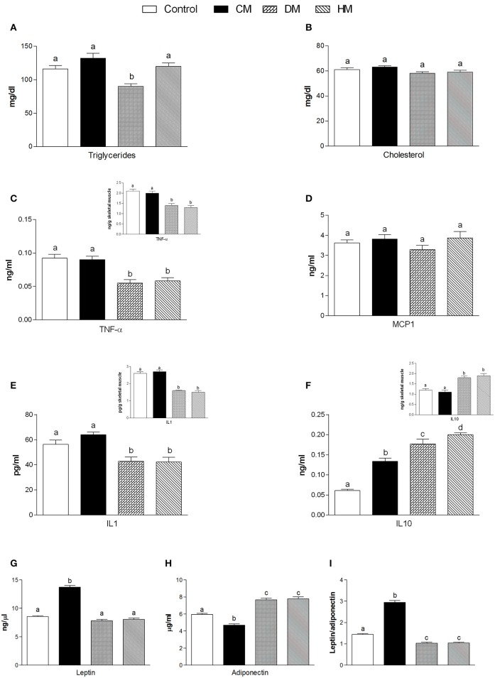 Effects of oral administration of human, donkey and cow milk on serum levels of lipids, hormones and inflammatory parameters. The graphs show serum levels of triglycerides (A), cholesterol (B), TNF-α (C), MCP1 (D), Interleukin- 1 (IL 1 E), interleukin-10 (IL 10 F), leptin (G), adiponectin (H), and leptin/adiponectin ratio (I). Insets indicate skeletal muscle levels of TNF-α (C), IL 1 (E), and IL 10 (F). Data are presented as means ± SEM from n = 7 animals/group. Labeled means without a common letter differ (P < 0.05).